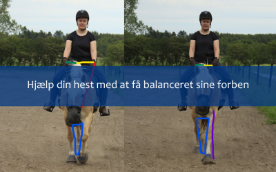 Hjælp din hest med at få balanceret sine forben